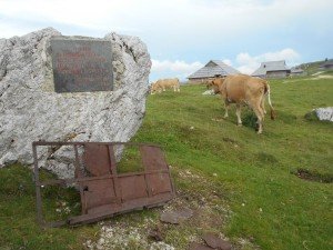 WW2 B-17 crash site memorial