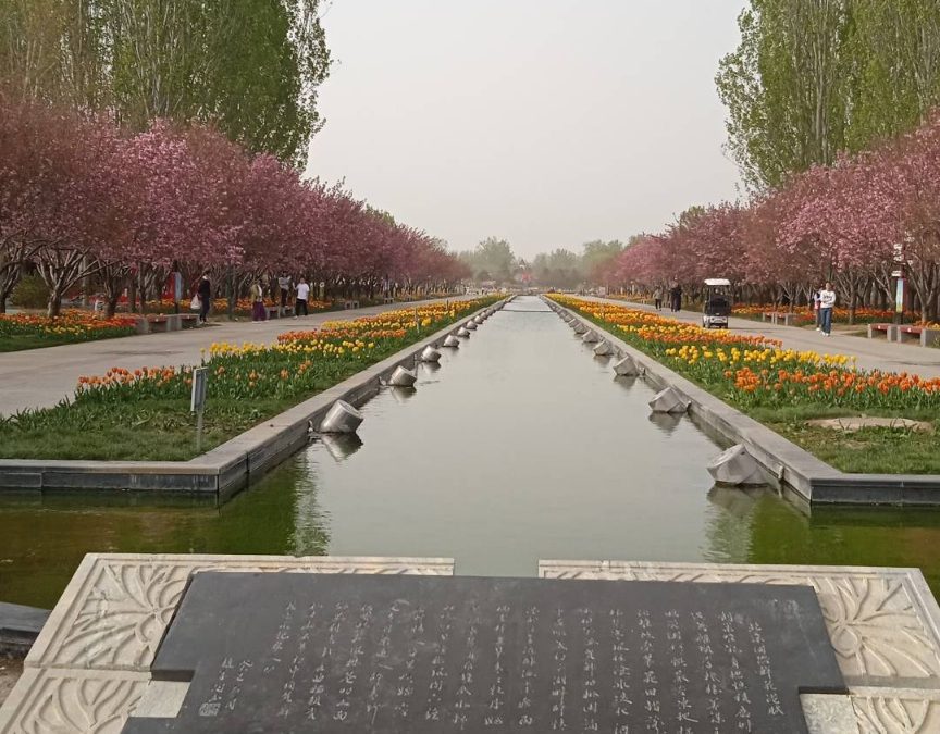 China: Butterflies and tulips