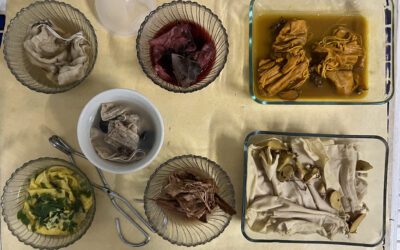 Herb and spice-dyed teabags for Venice